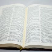 Библия каноническая (юбилейное издание, малый формат)